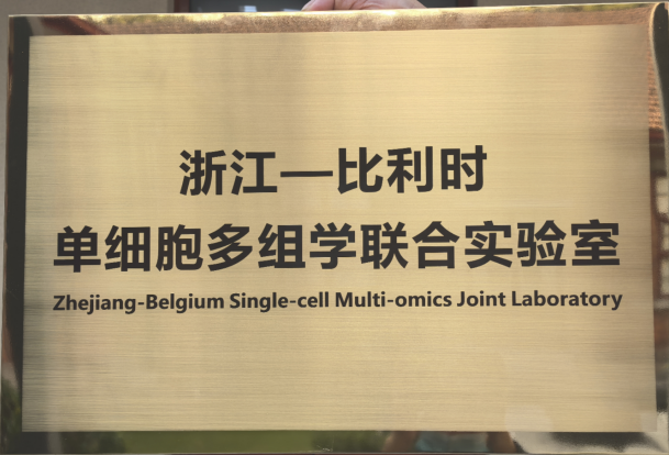 wps_doc_7.png wps_doc_7.png