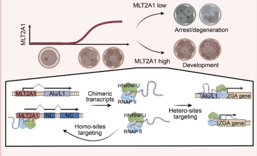 084l2vdj000-9wq8.jpeg 084l2vdj000-9wq8.jpeg