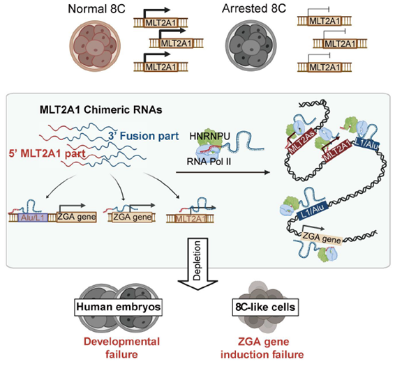 2014517560849772548_1280px.png 2014517560849772548_1280px.png