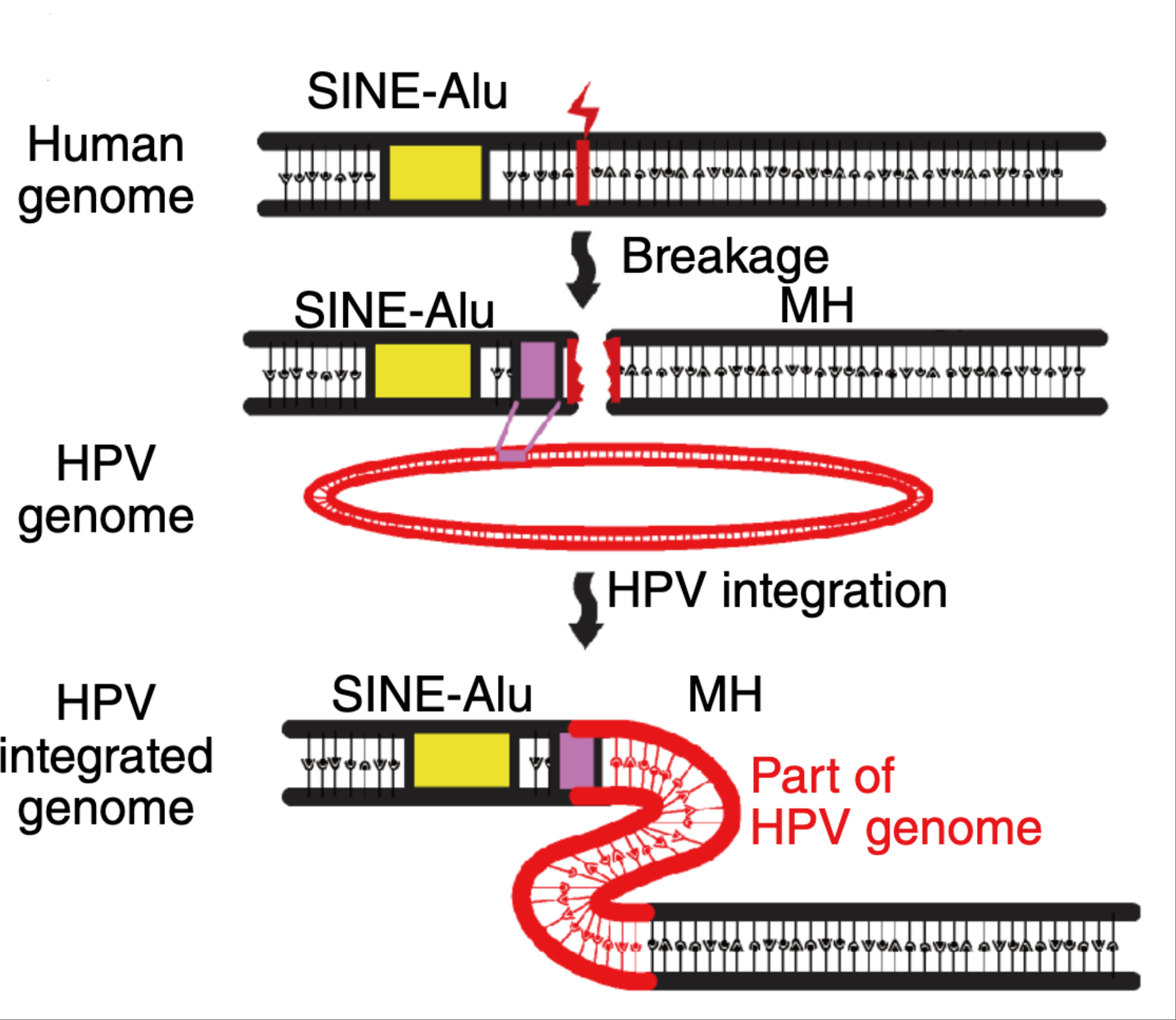 c91e8d3a4af9fe51ee1f18d53a6414f0.jpg c91e8d3a4af9fe51ee1f18d53a6414f0.jpg