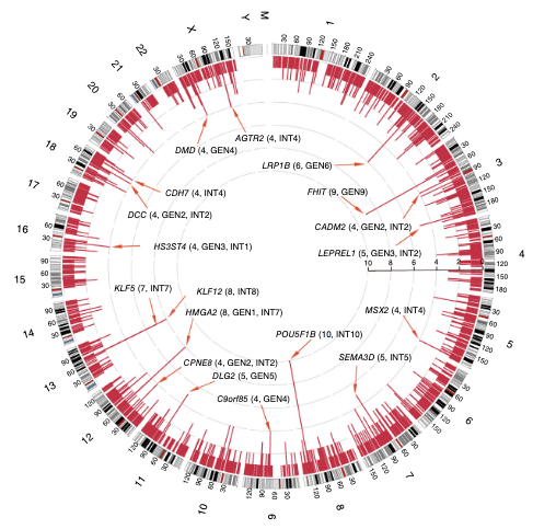 f07d1f1b8fe58ebfa217ccc27c90d82e.jpg f07d1f1b8fe58ebfa217ccc27c90d82e.jpg
